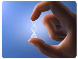 DWD Pharmaceuticals Ltd